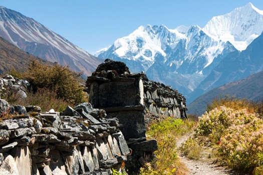 Langtang Region Trekking