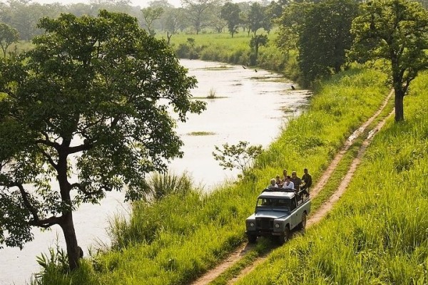 Jungle Safari Tour